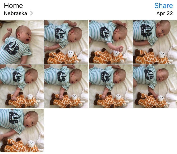 Pics of Charlie and giraffe pal incorrectly rotated